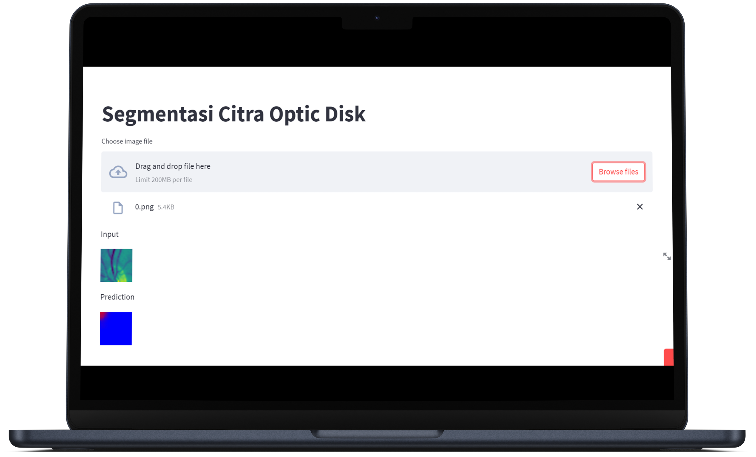 Software Screenshot